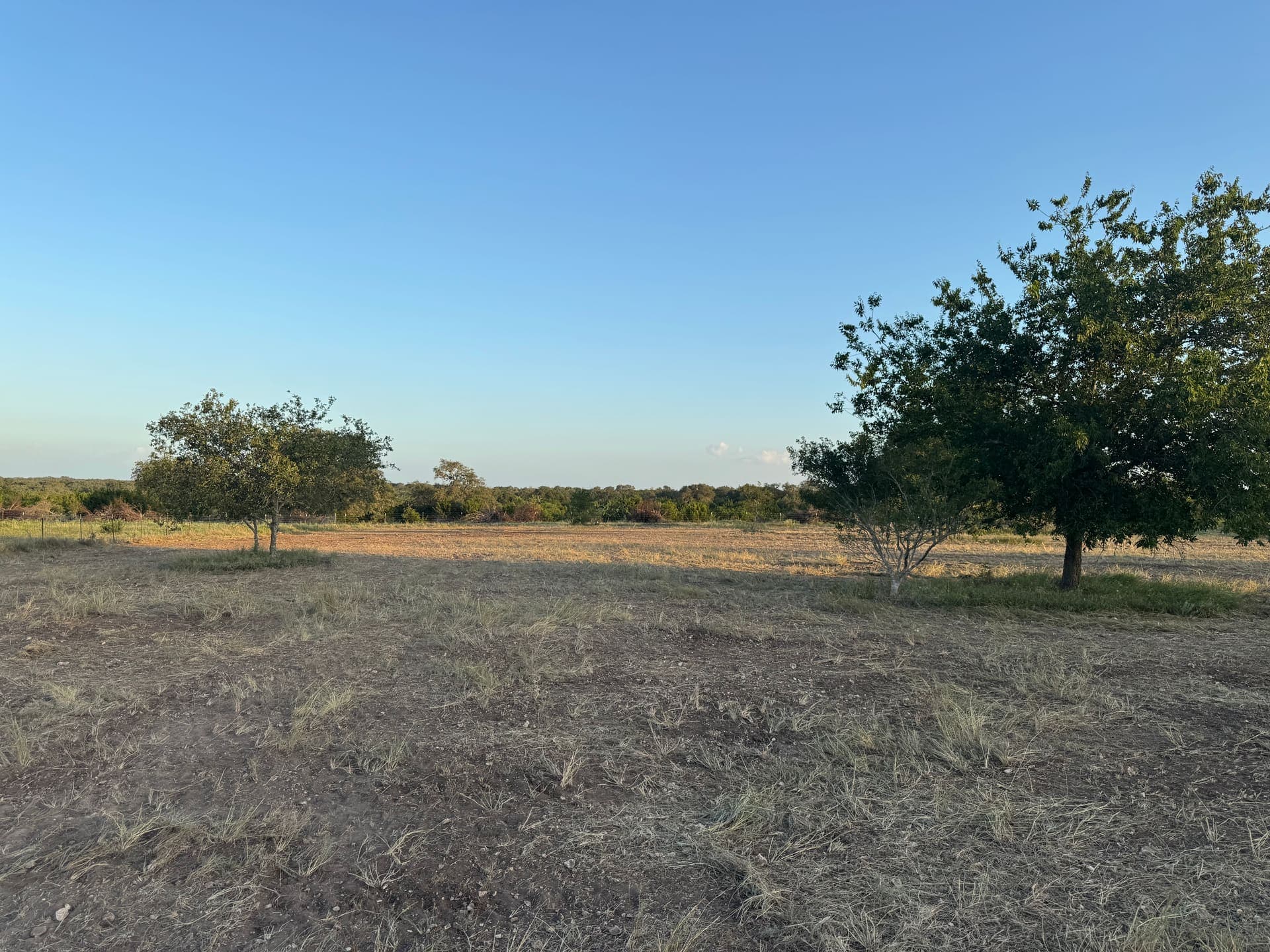 Rock & Cactus Removal