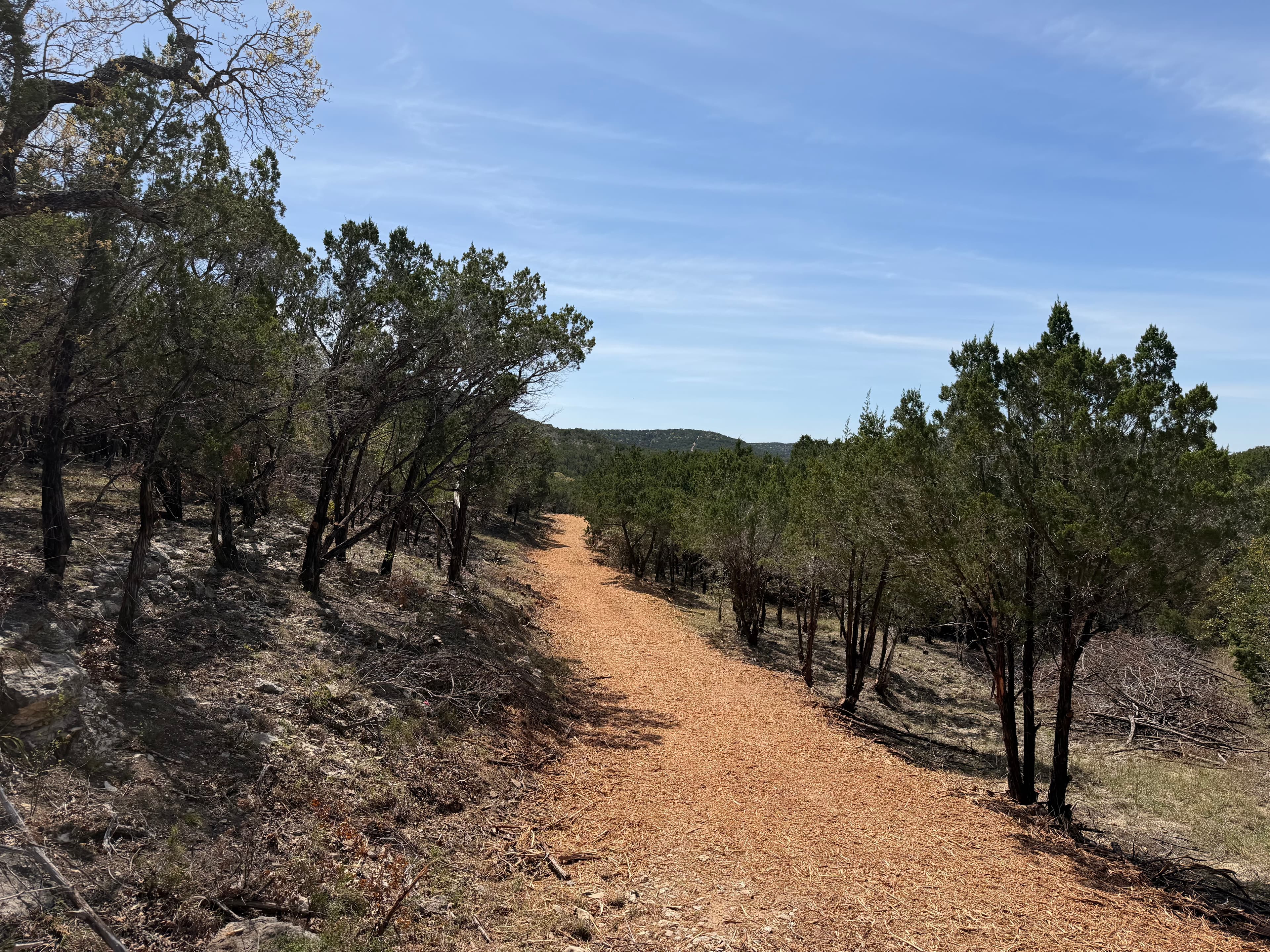 Fence line clearing project in Central Texas