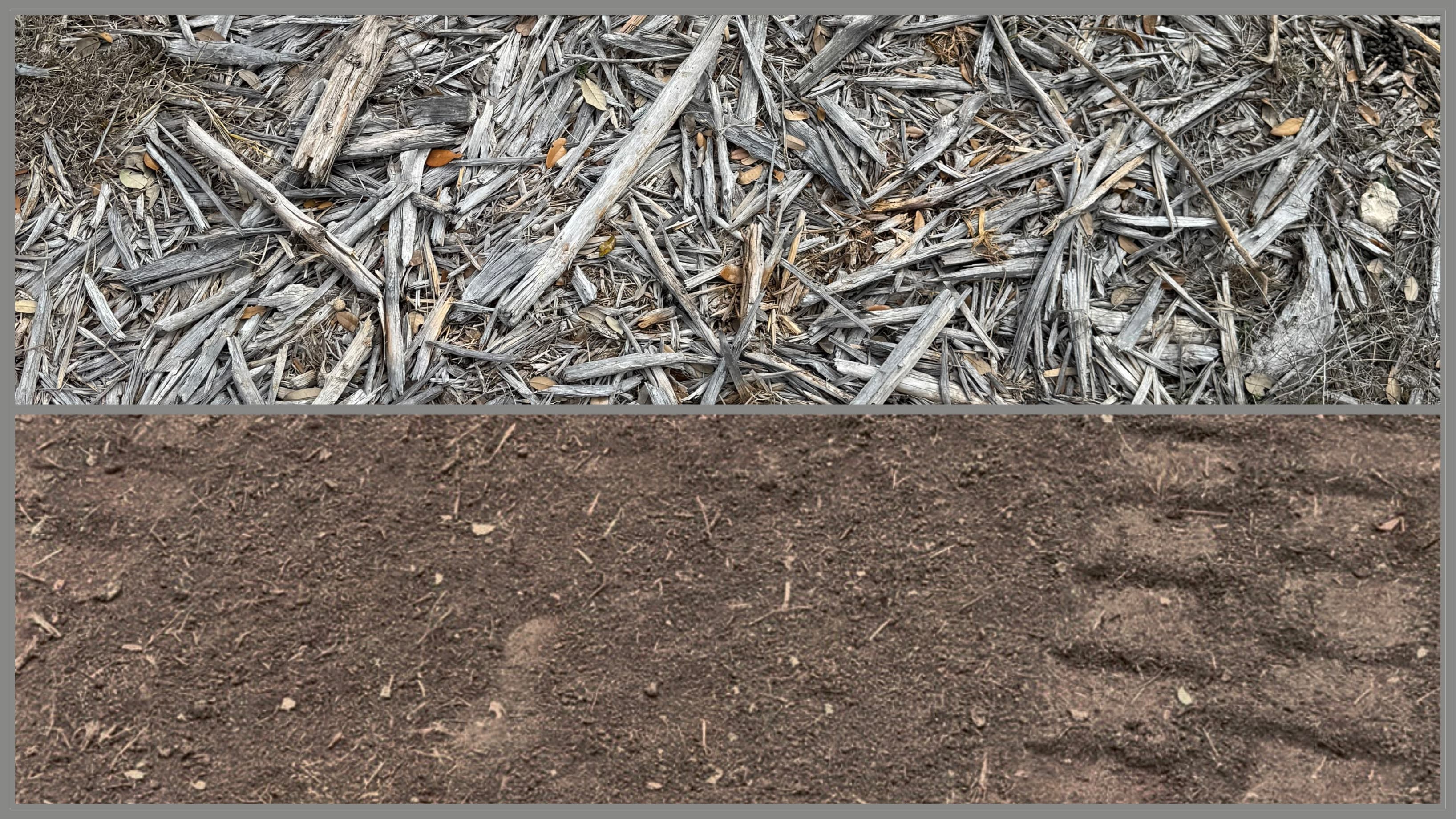 Forestry Mulching Cleanup
