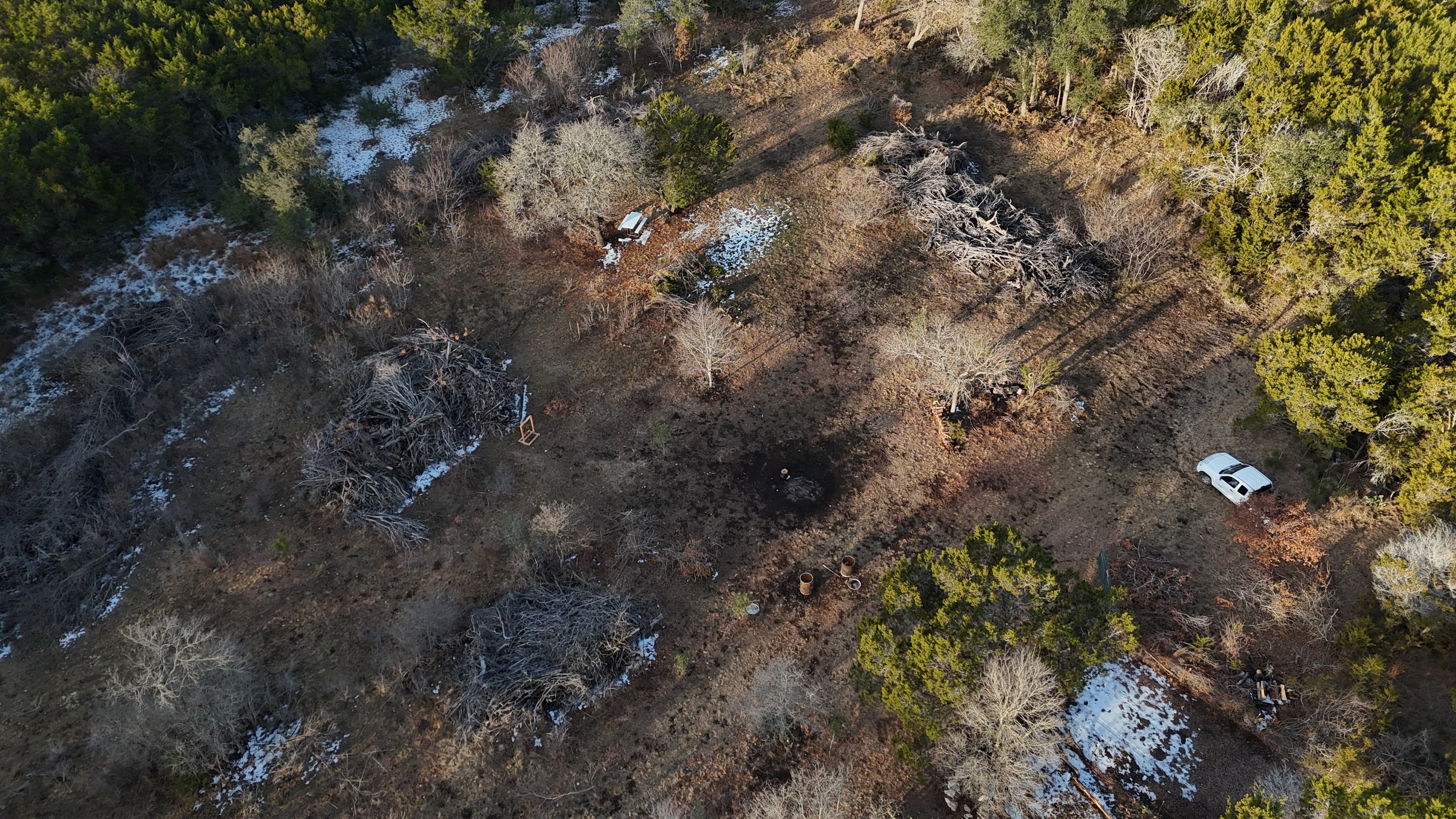 Before tree pile shredding