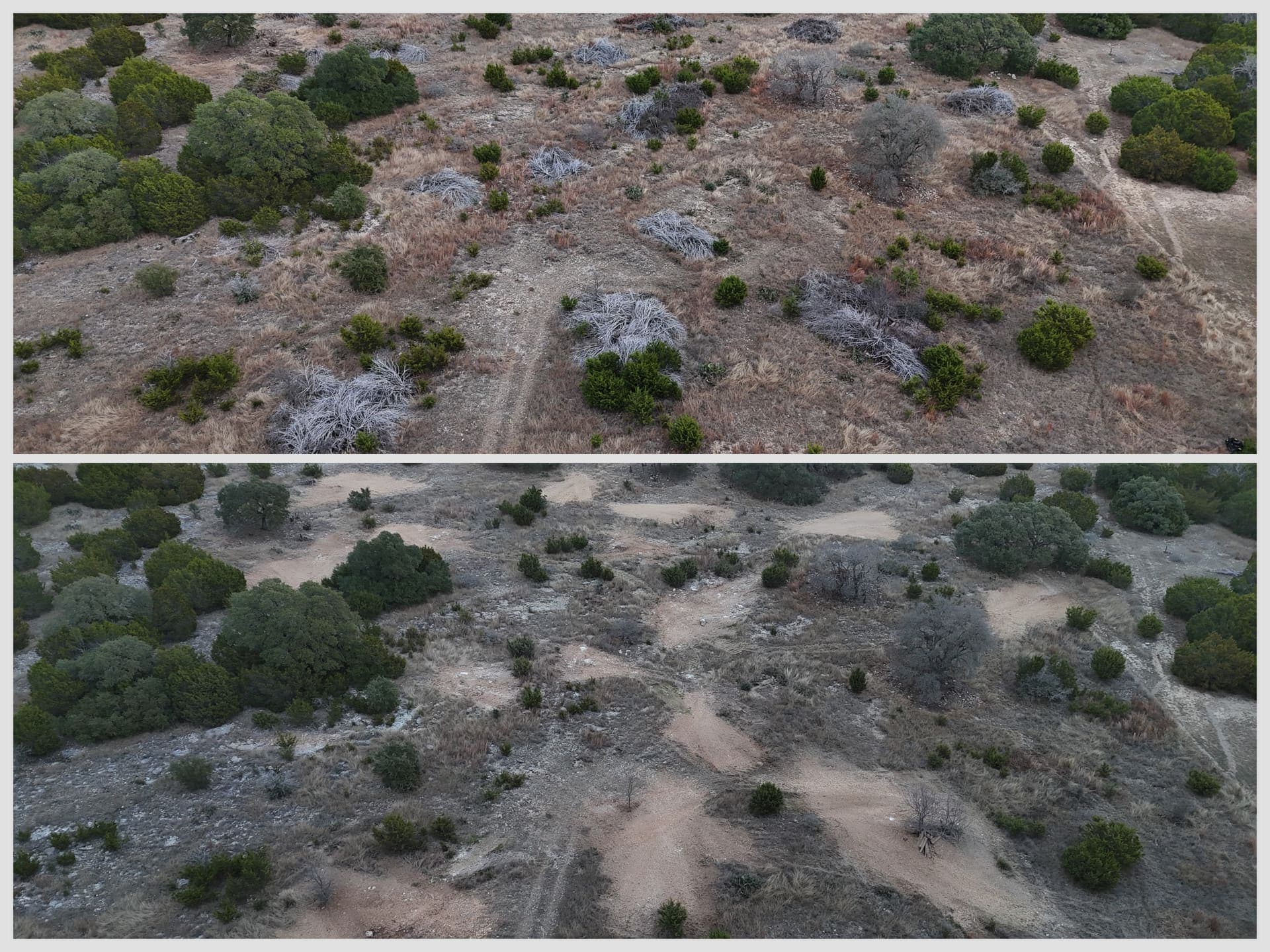 Land clearing before and after