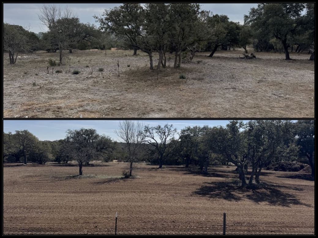 Brush clearing project