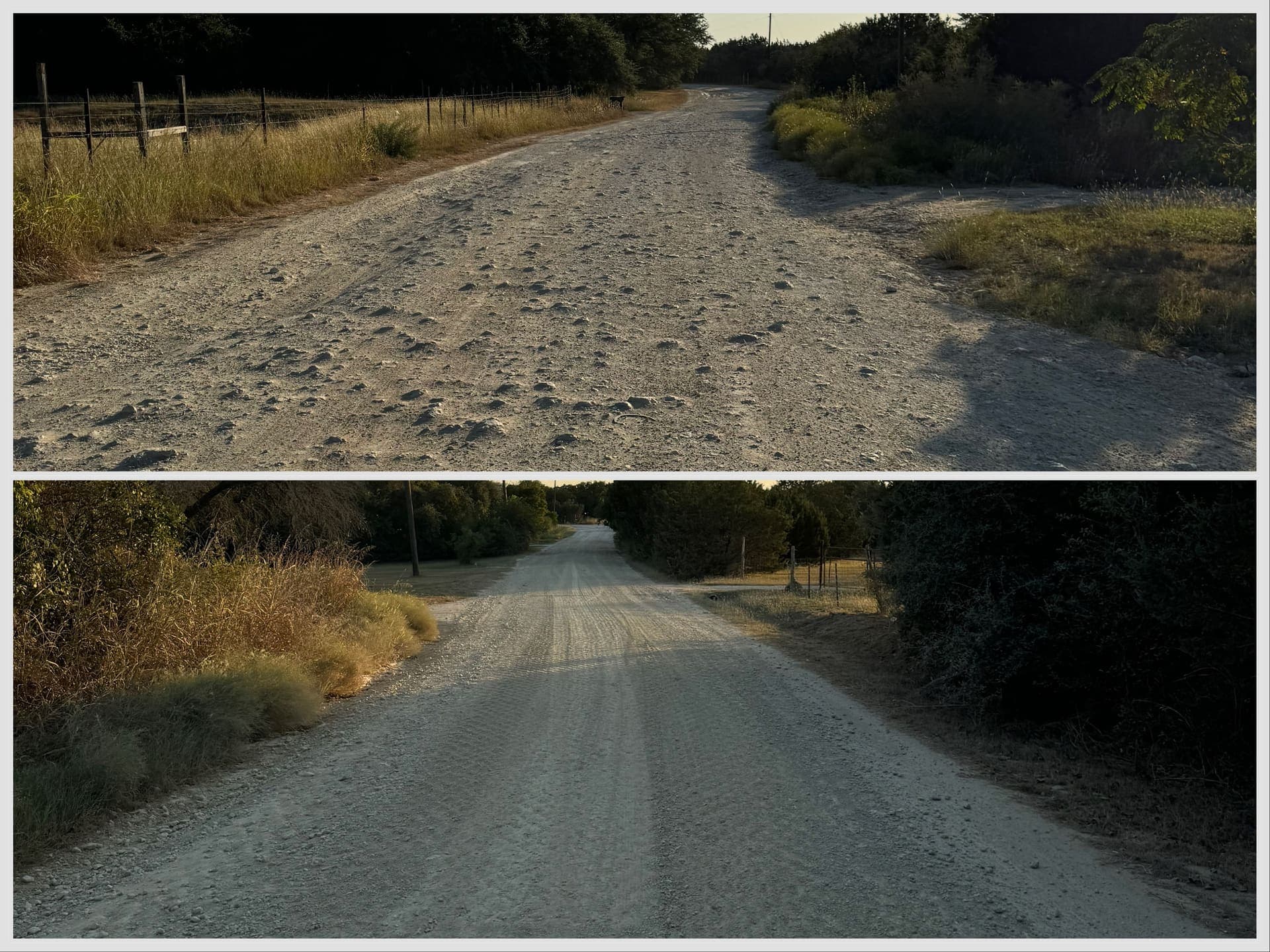 Mulching project complete