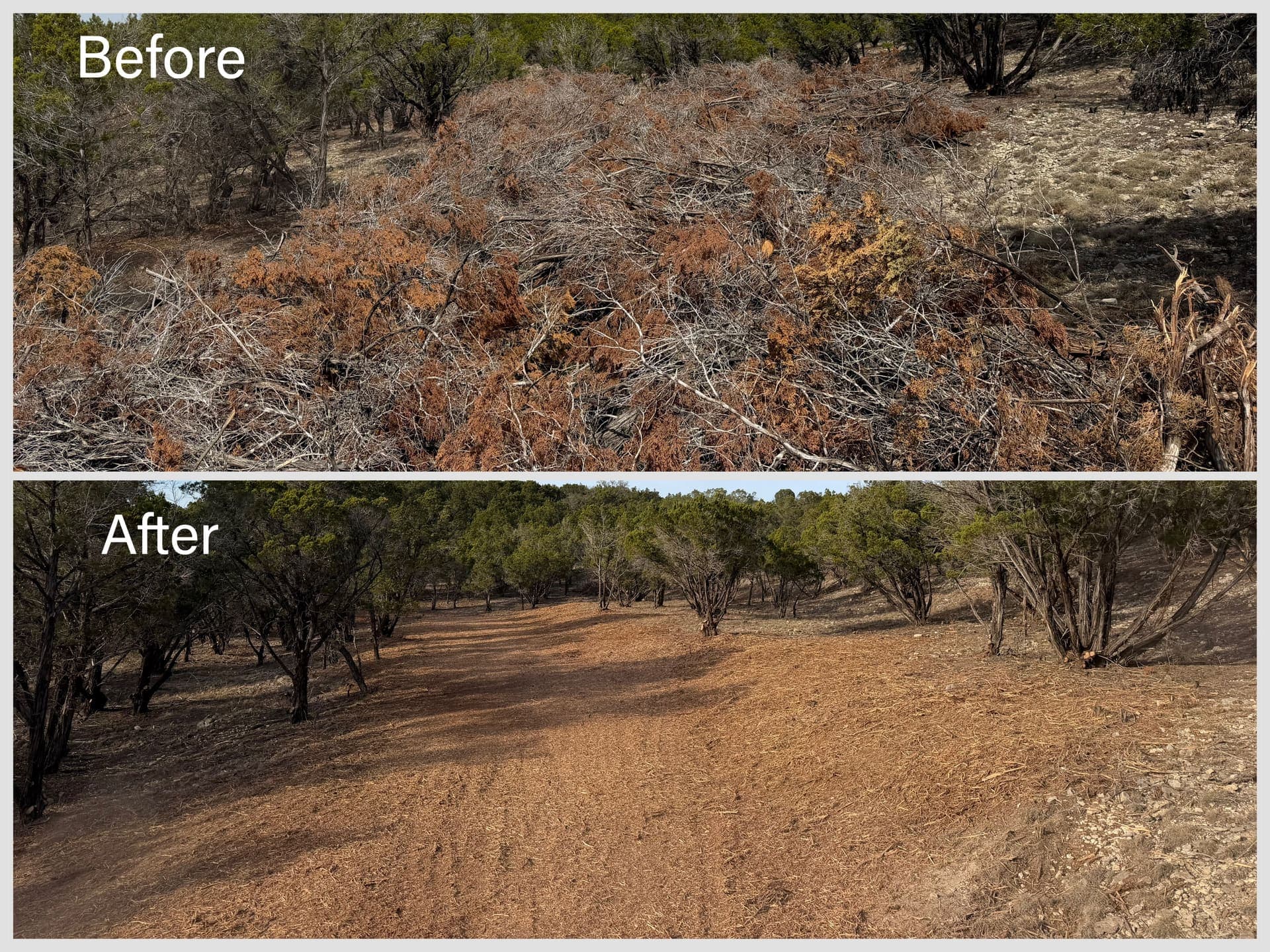 Property transformation