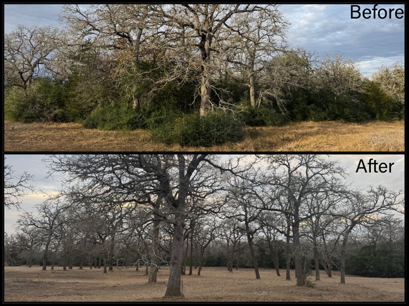 Land transformation complete