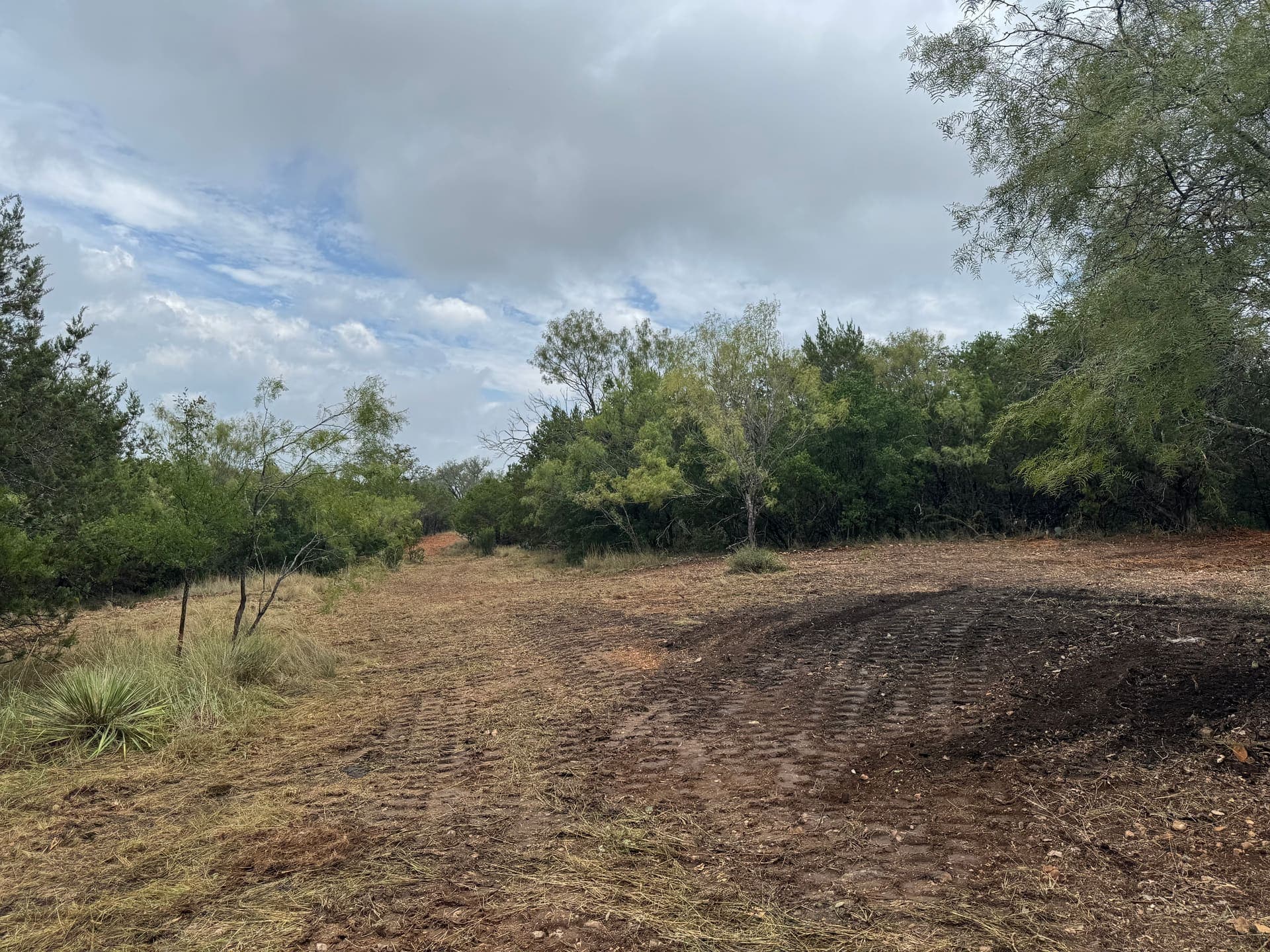 Land clearing with mulch finish