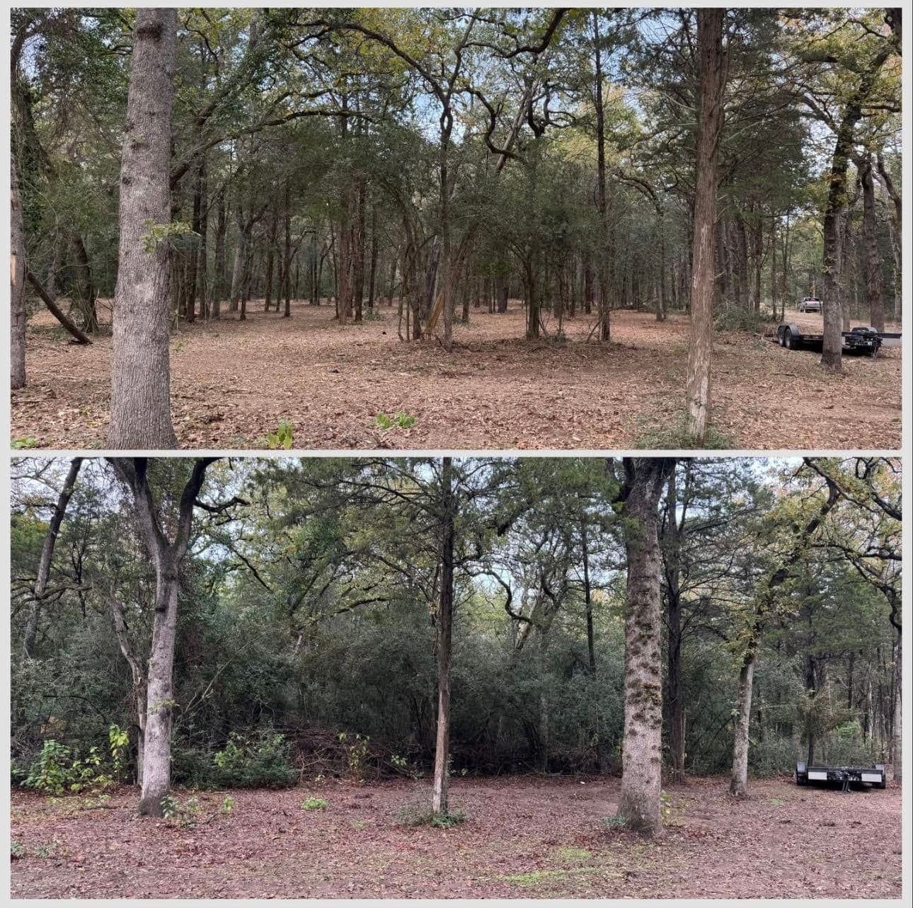 Site preparation work