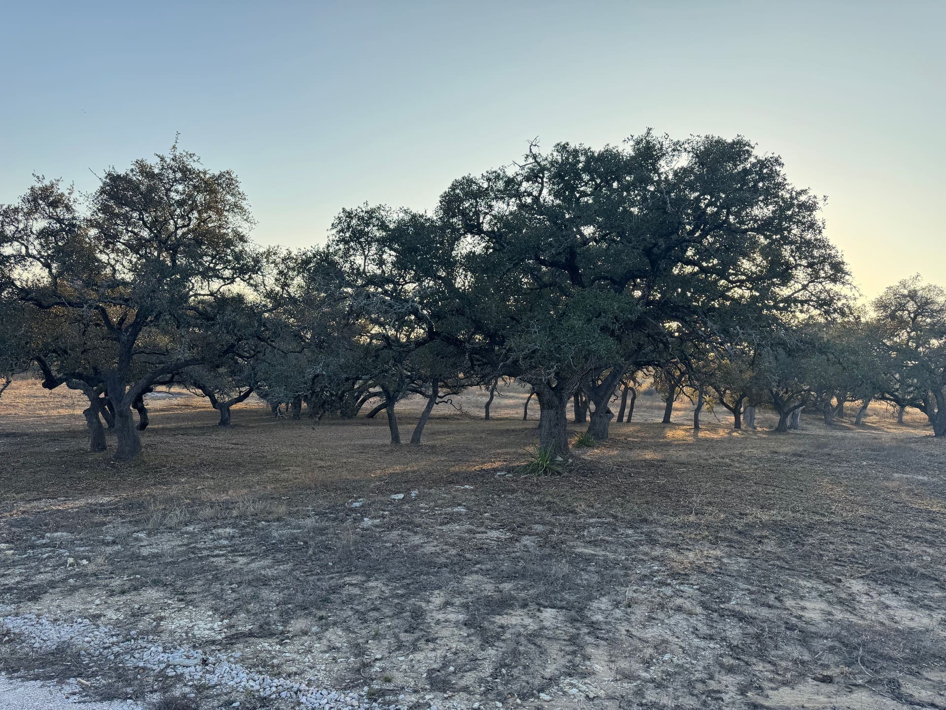 Site cleanup complete