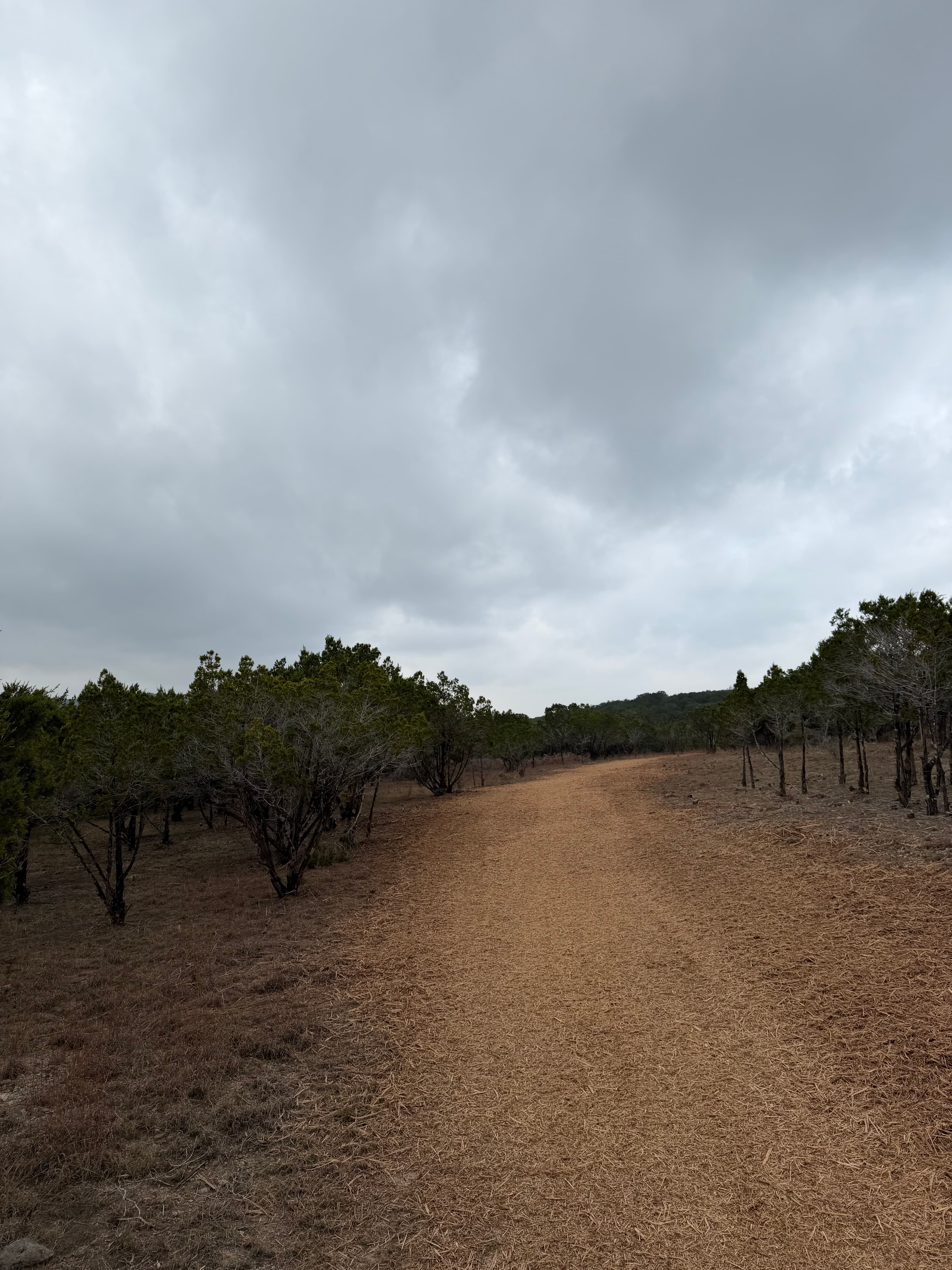Balcones Trail forestry mulching
