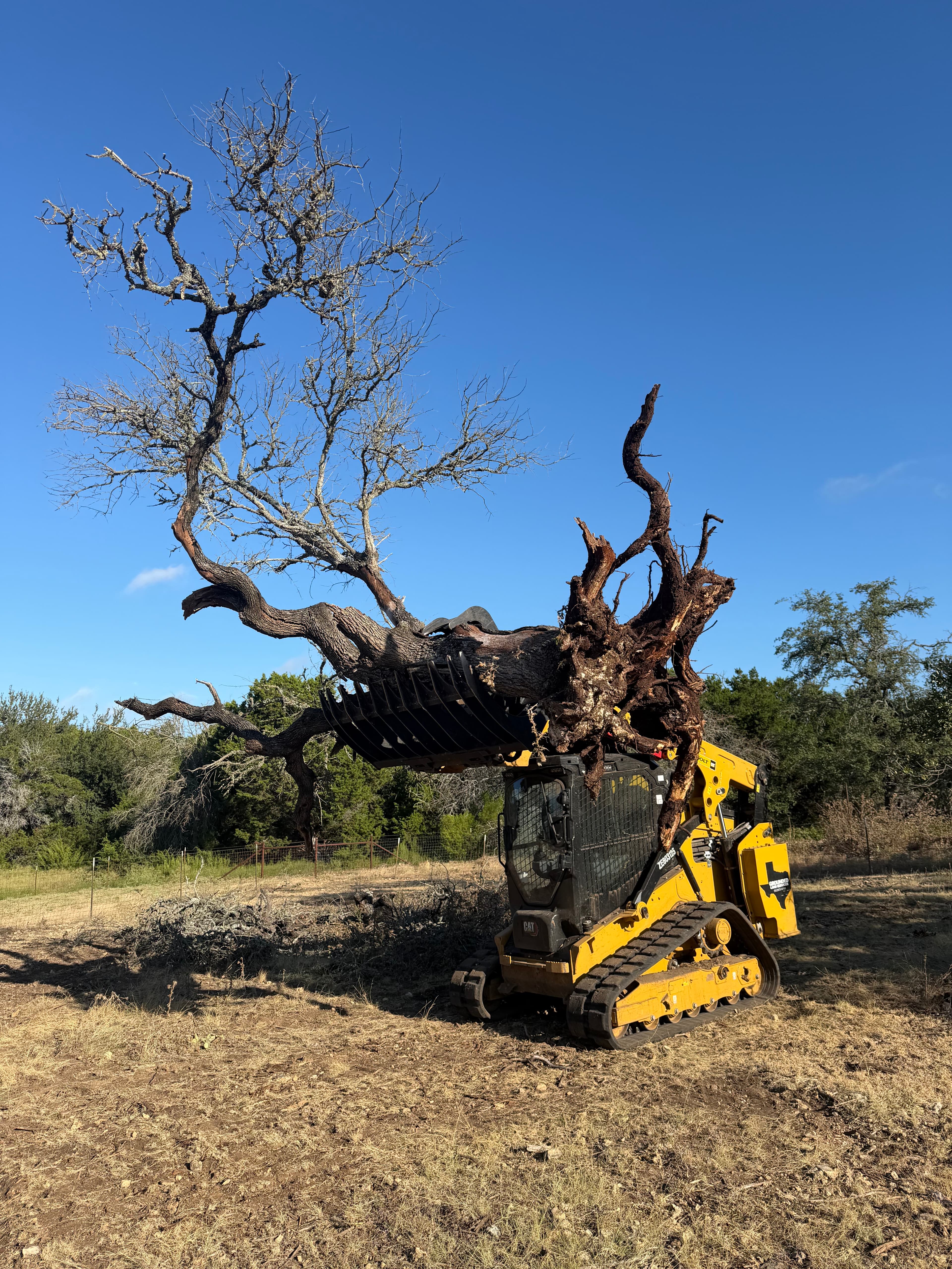 CAT 275 skid steer land clearing in action in Liberty Hill, TX