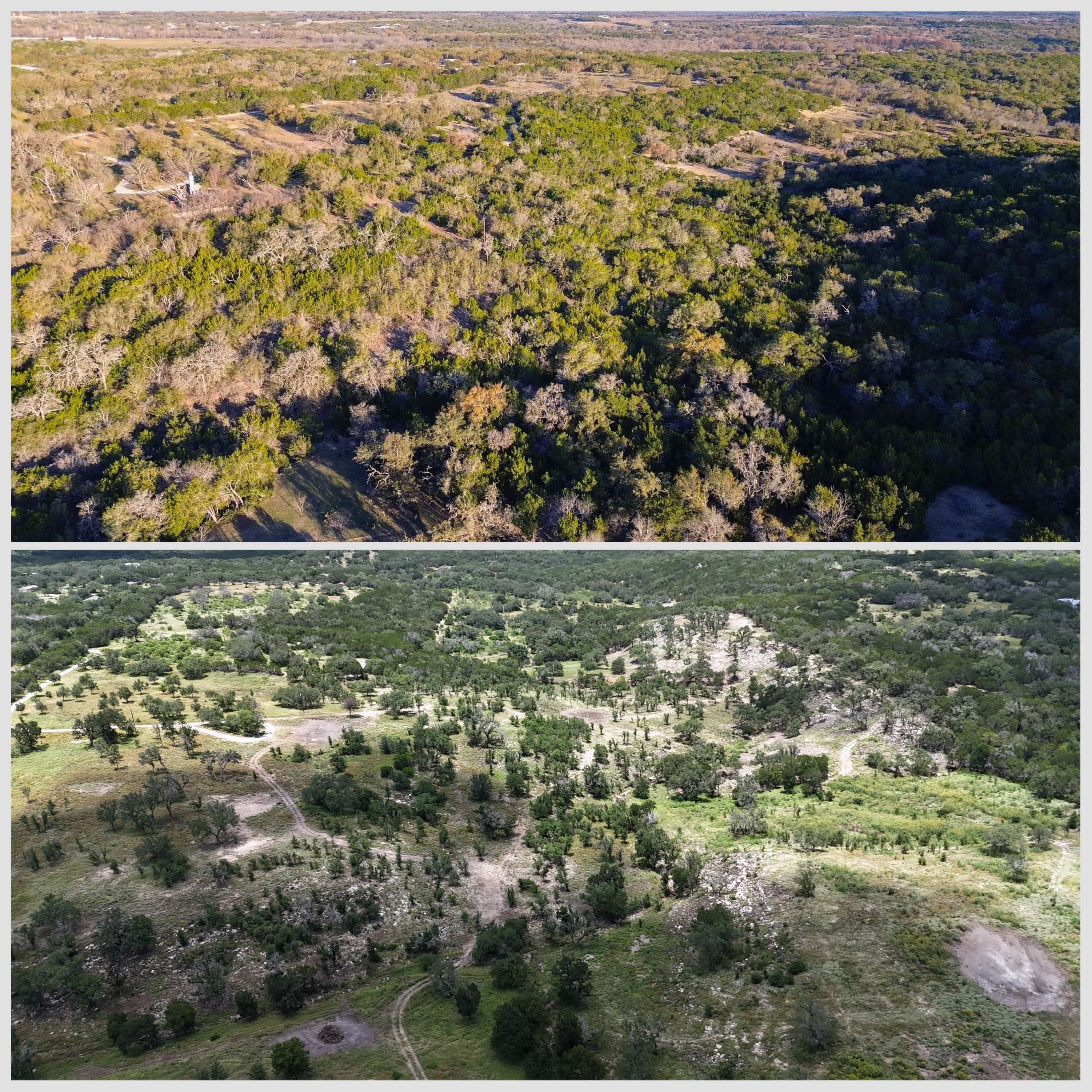 Garrison property land clearing