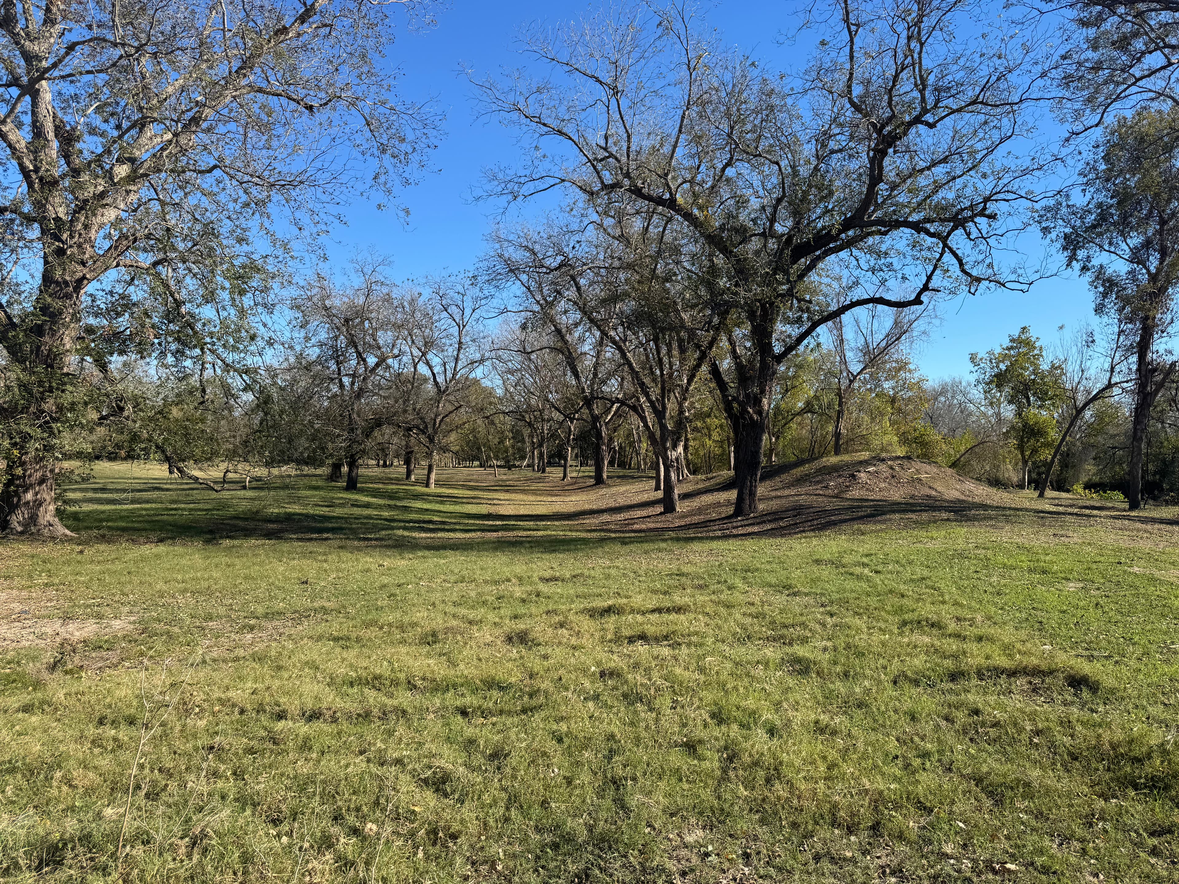 Land Clearing in Gonzales, Texas photo 2