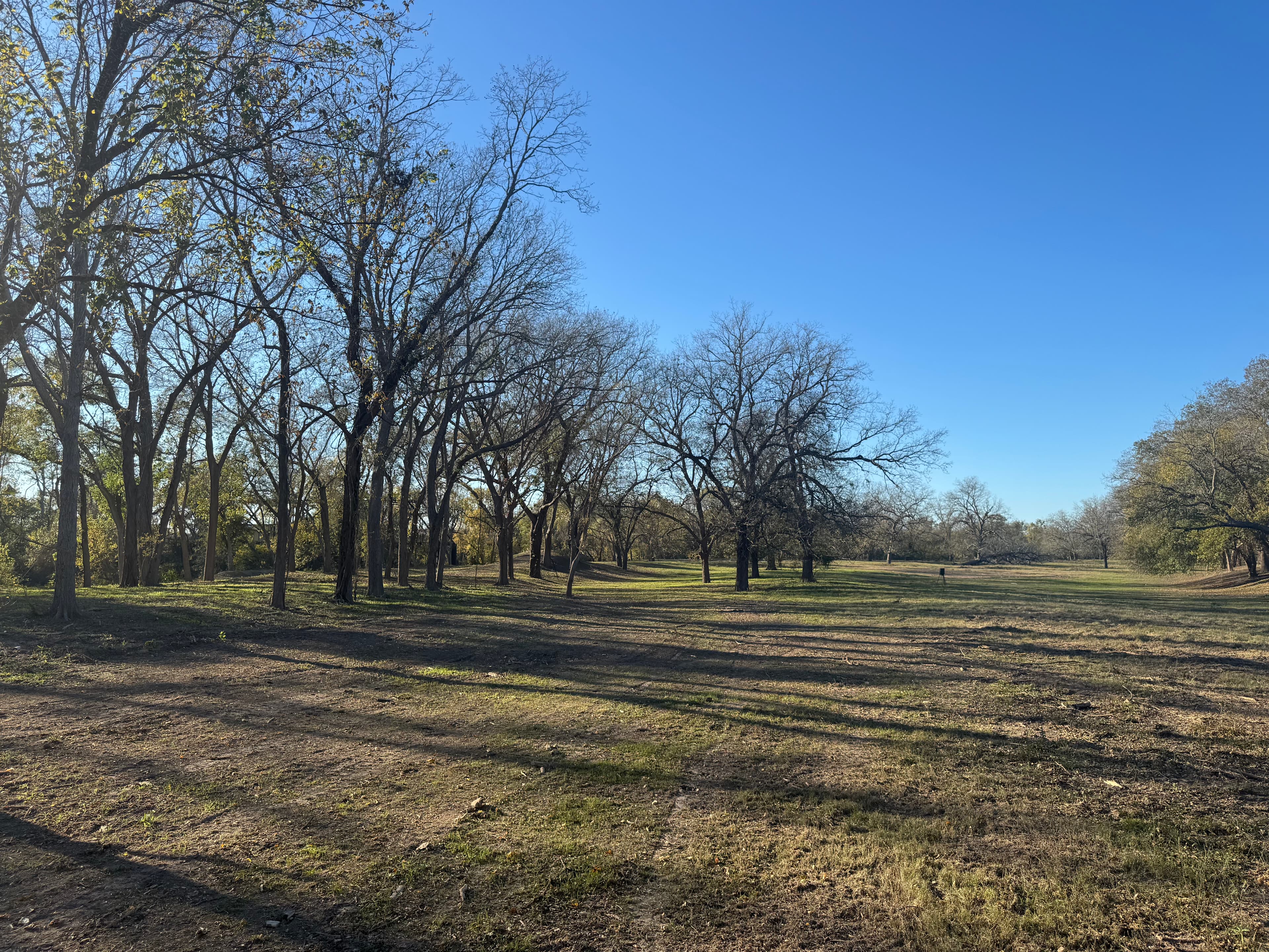Land Clearing in Gonzales, Texas photo 4