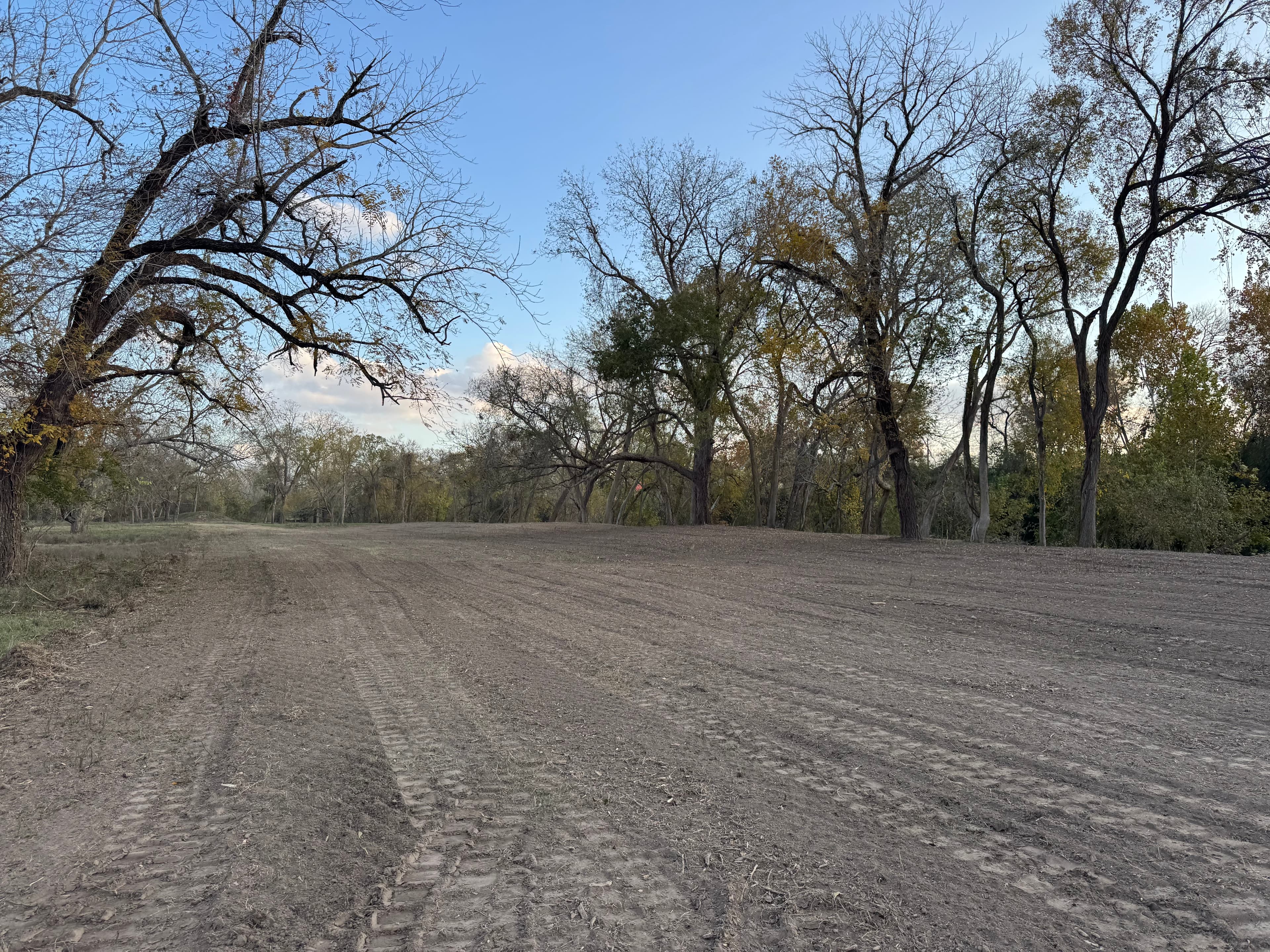 Land Clearing in Gonzales, Texas photo 5