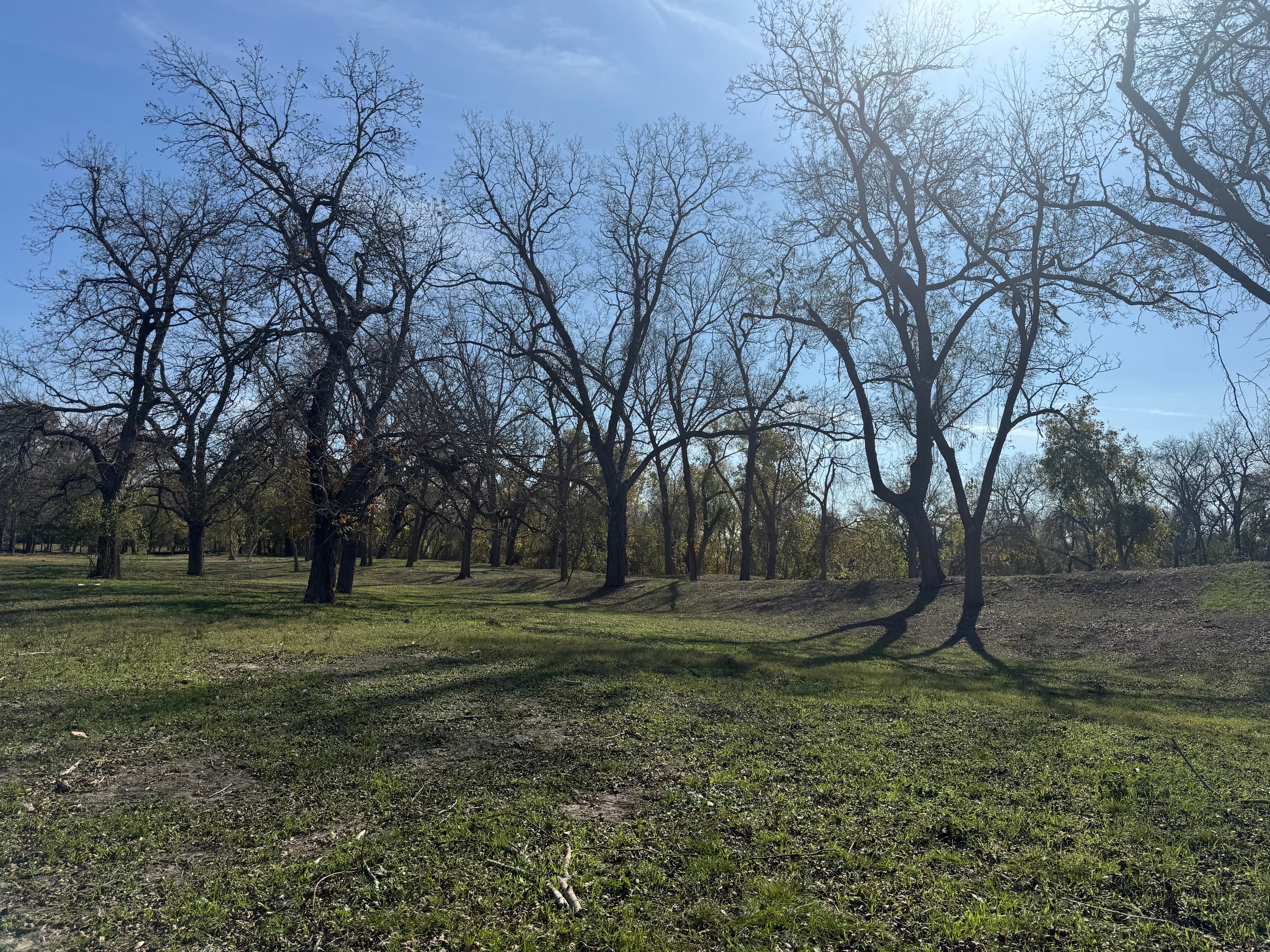 Land Clearing in Gonzales, Texas photo 6