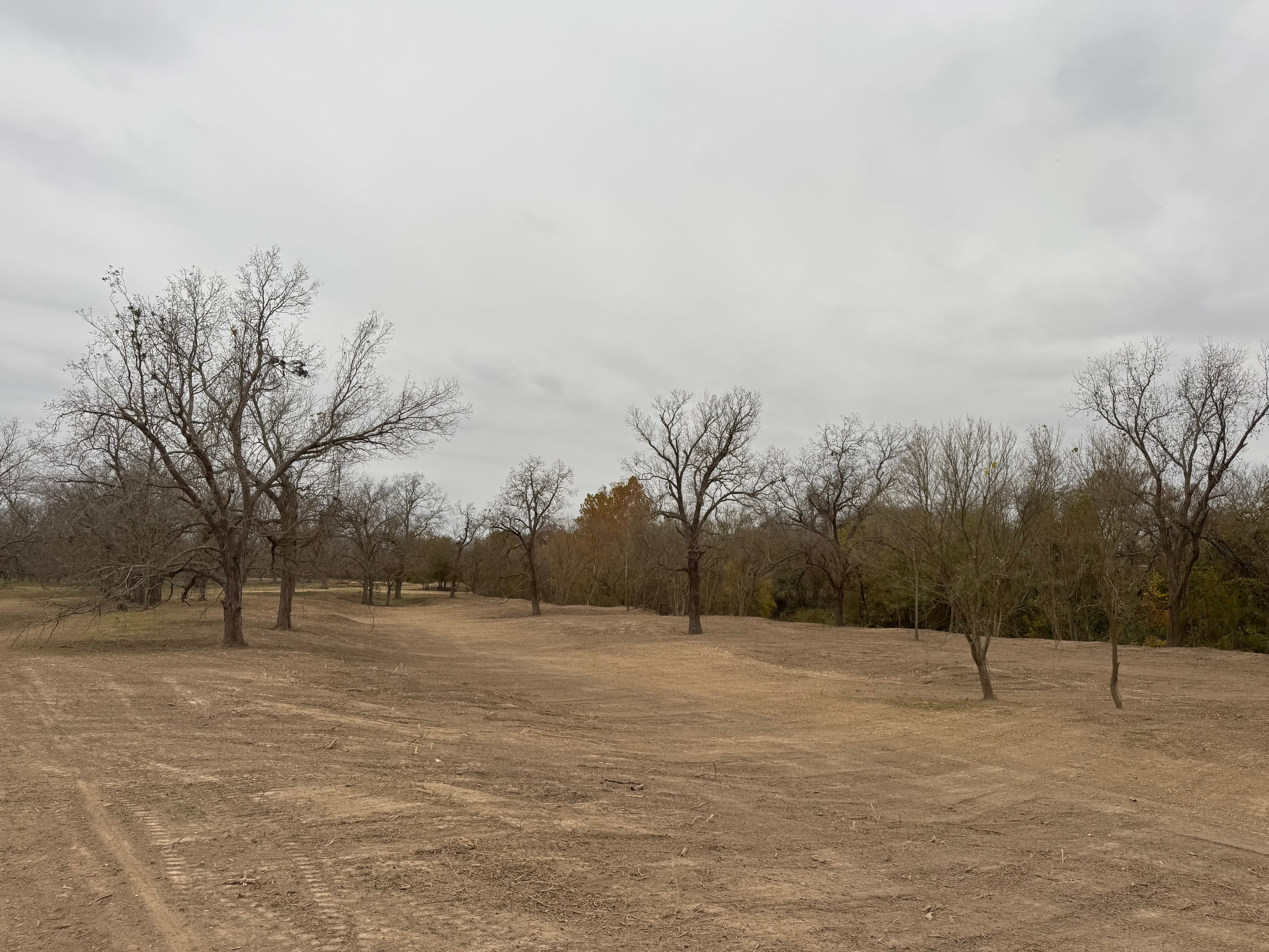 Land Clearing in Gonzales, Texas photo 3