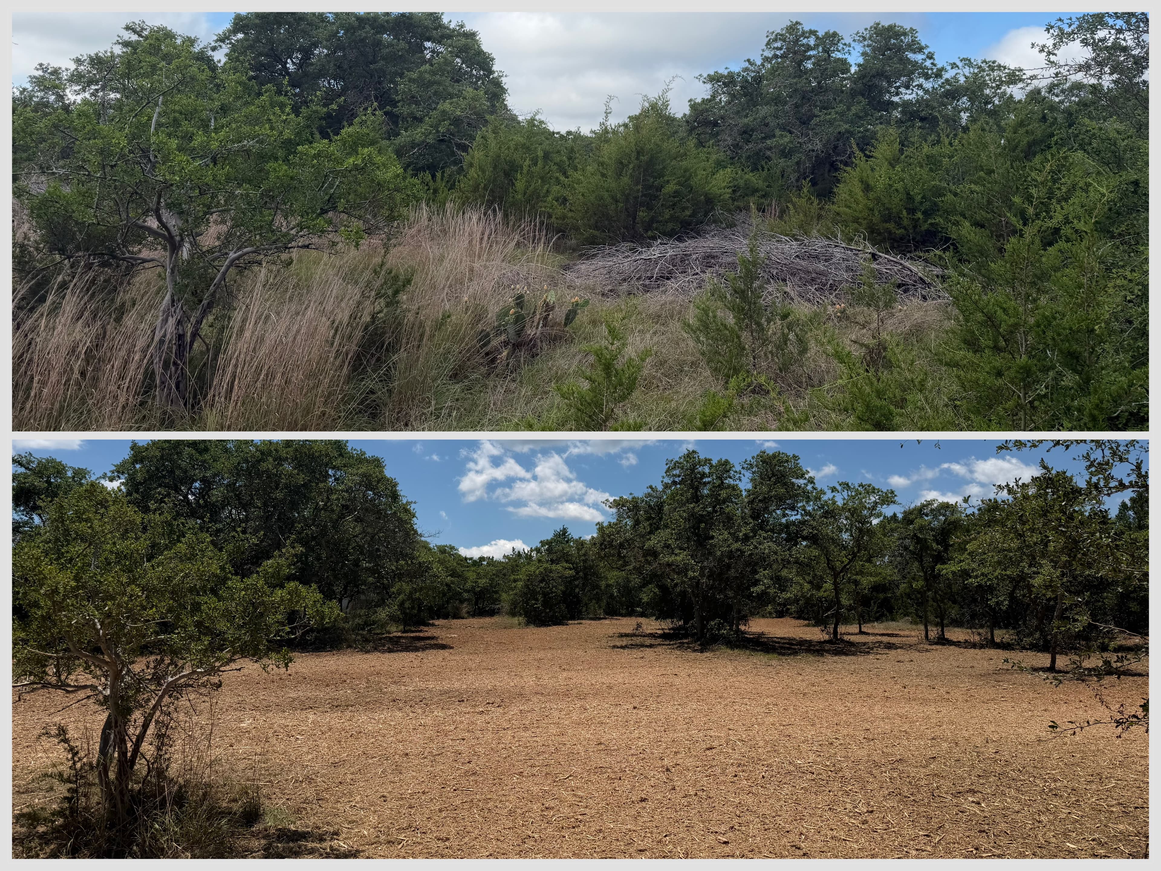 Henson property before and after forestry mulching