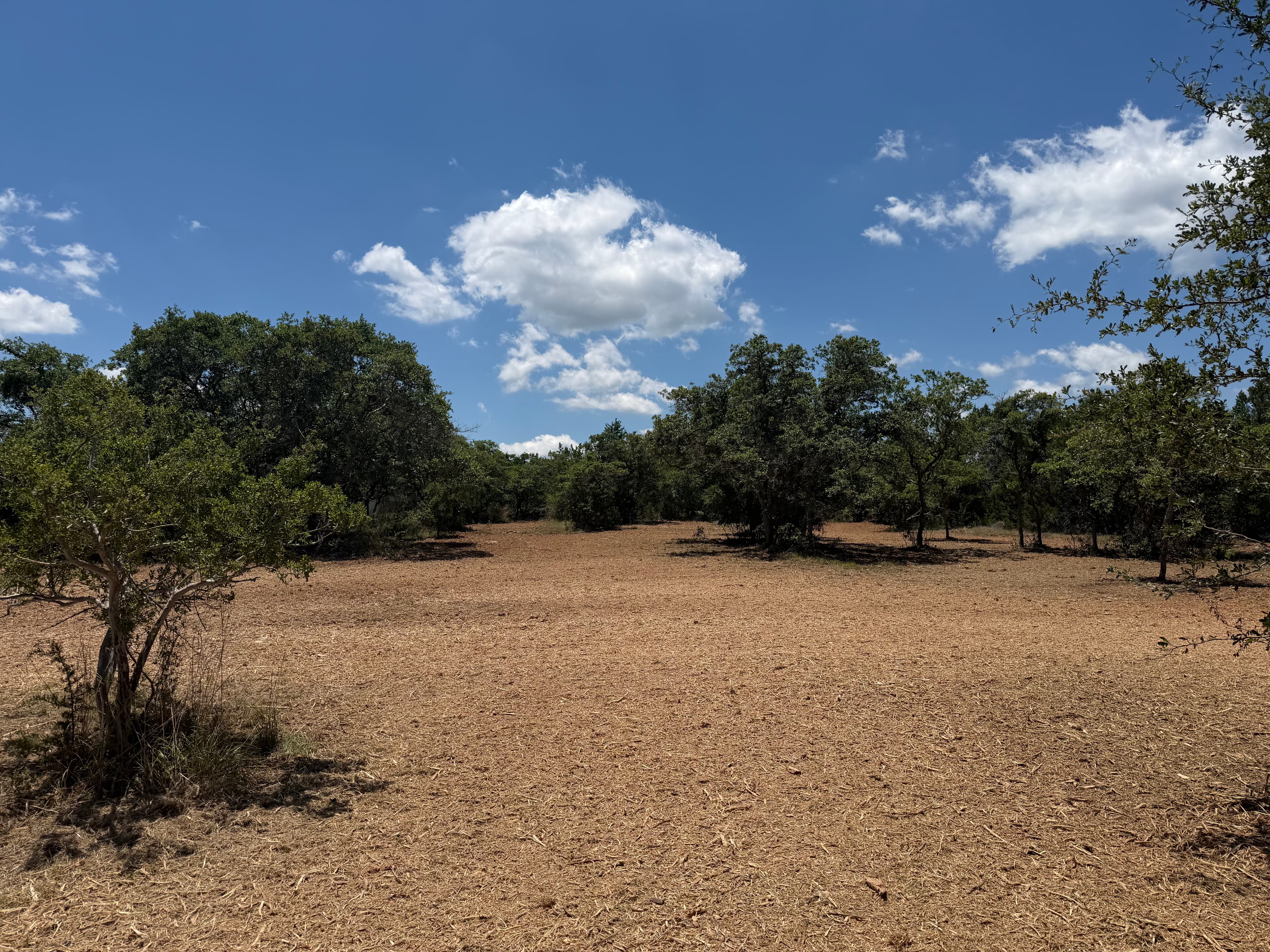Henson property forestry mulching