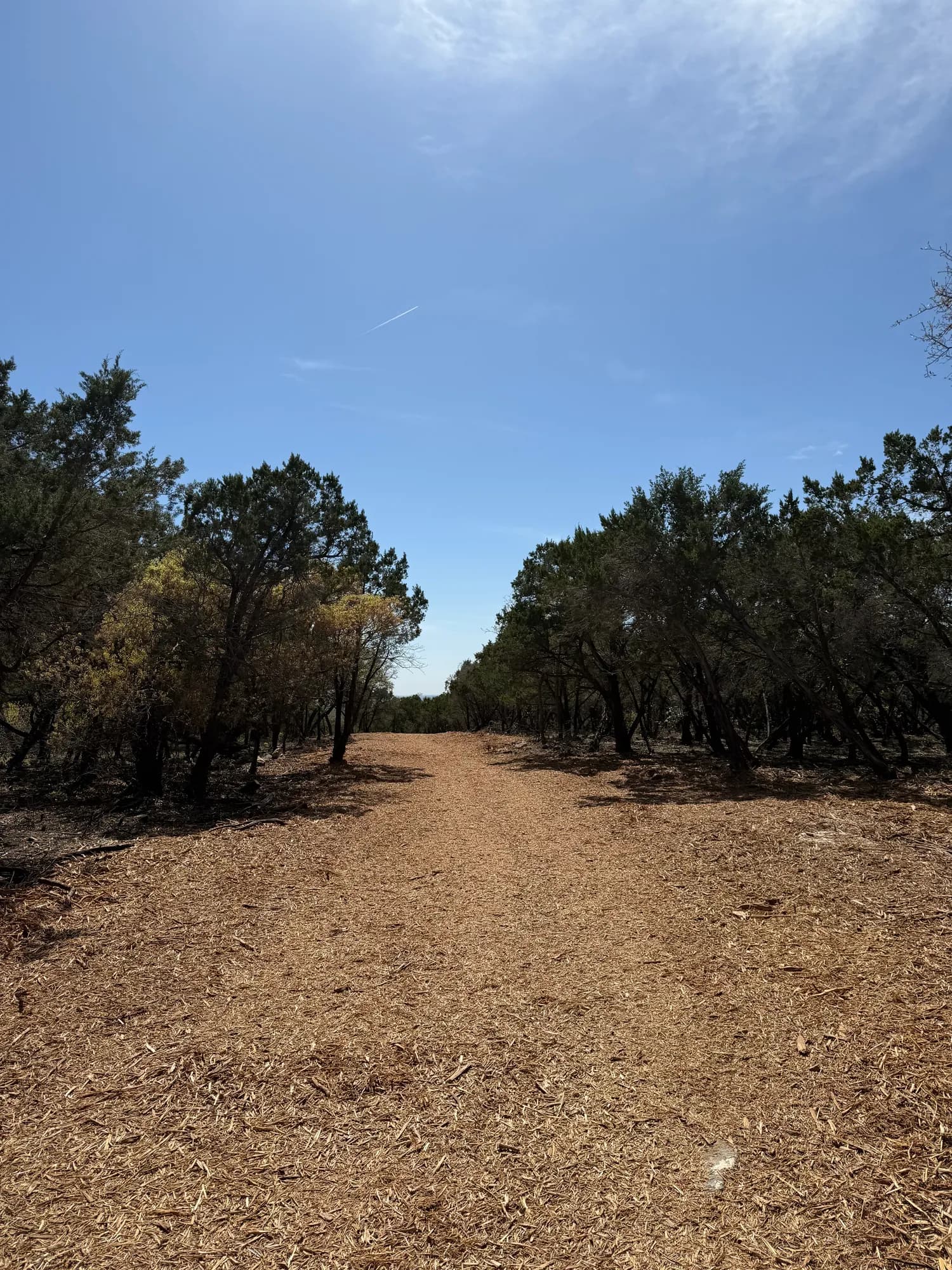 5-Mile Fire Break at Balcones Canyonlands National Wildlife Refuge photo 5