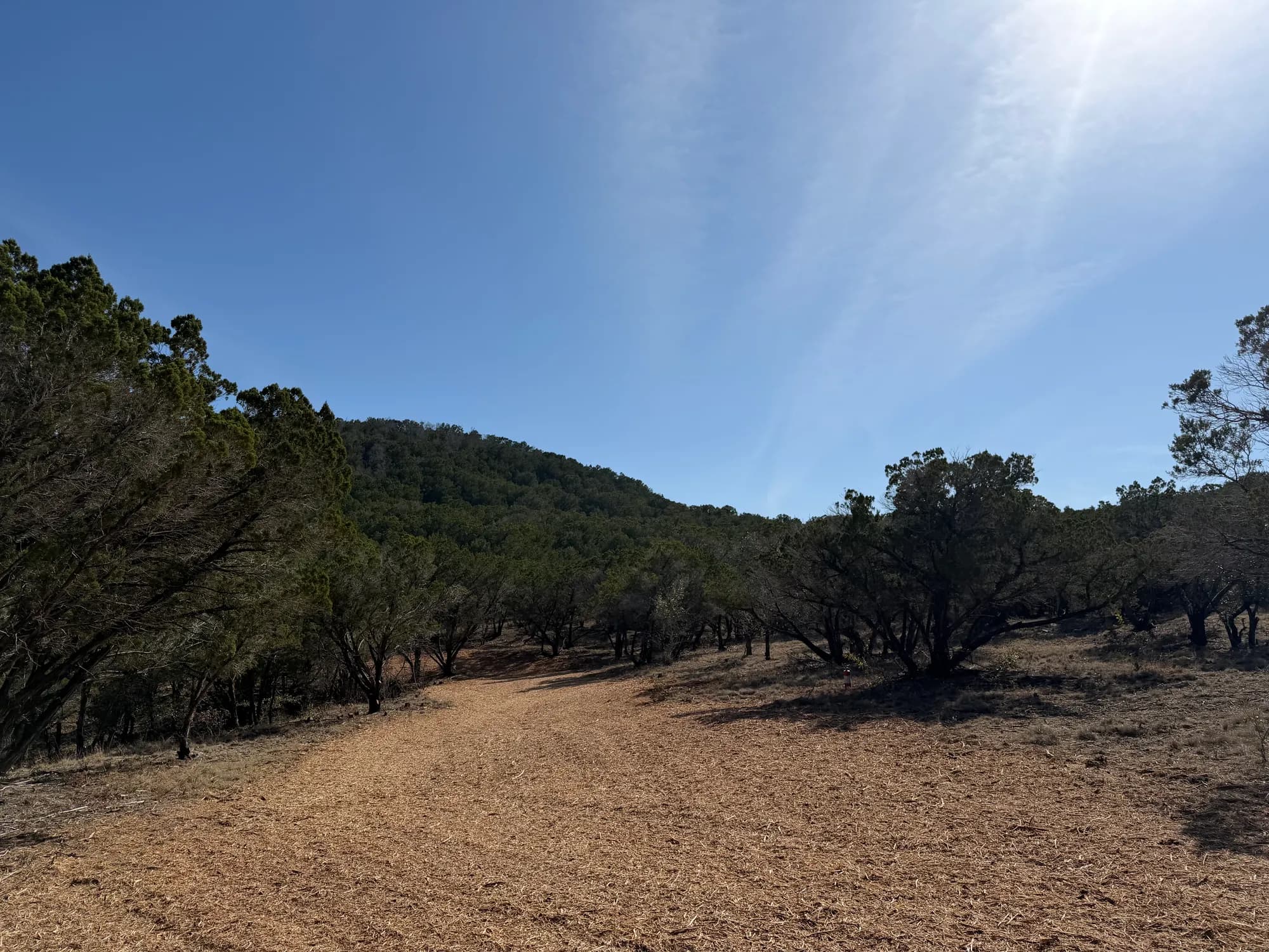 5-Mile Fire Break at Balcones Canyonlands National Wildlife Refuge photo 2