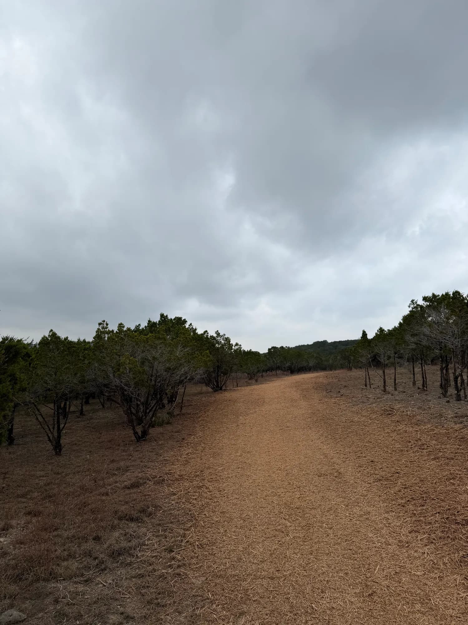 5-Mile Fire Break at Balcones Canyonlands National Wildlife Refuge photo 4