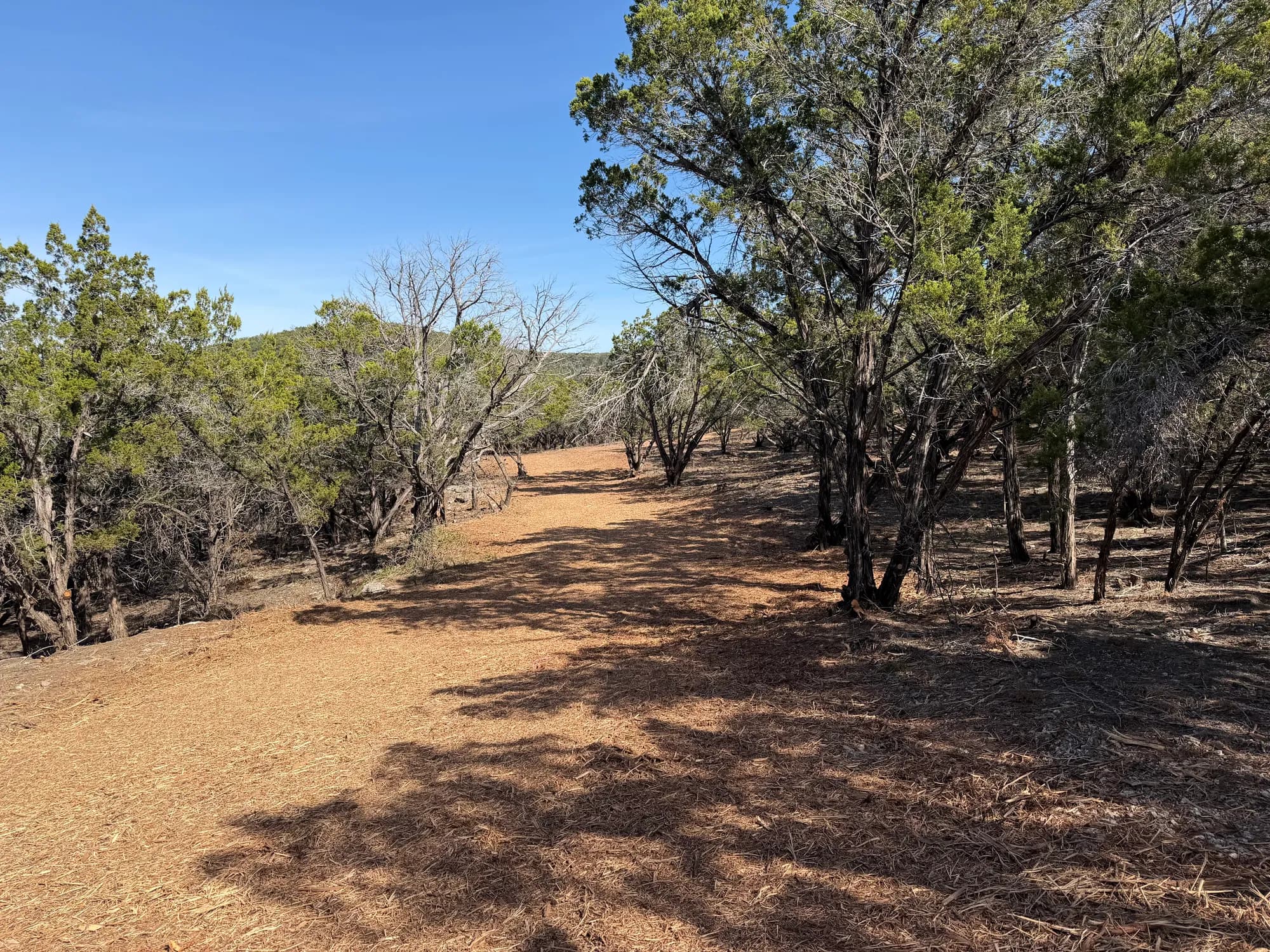 5-Mile Fire Break at Balcones Canyonlands National Wildlife Refuge photo 3