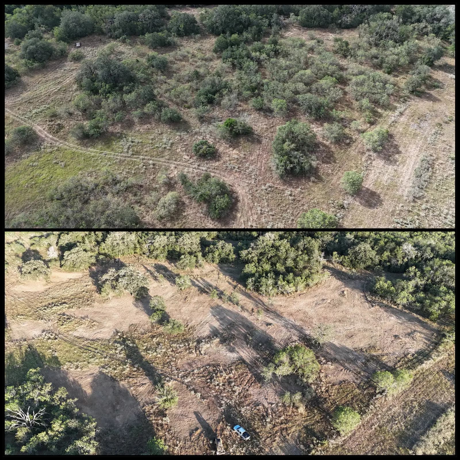 Forestry Mulching in Harwood, Texas photo 2