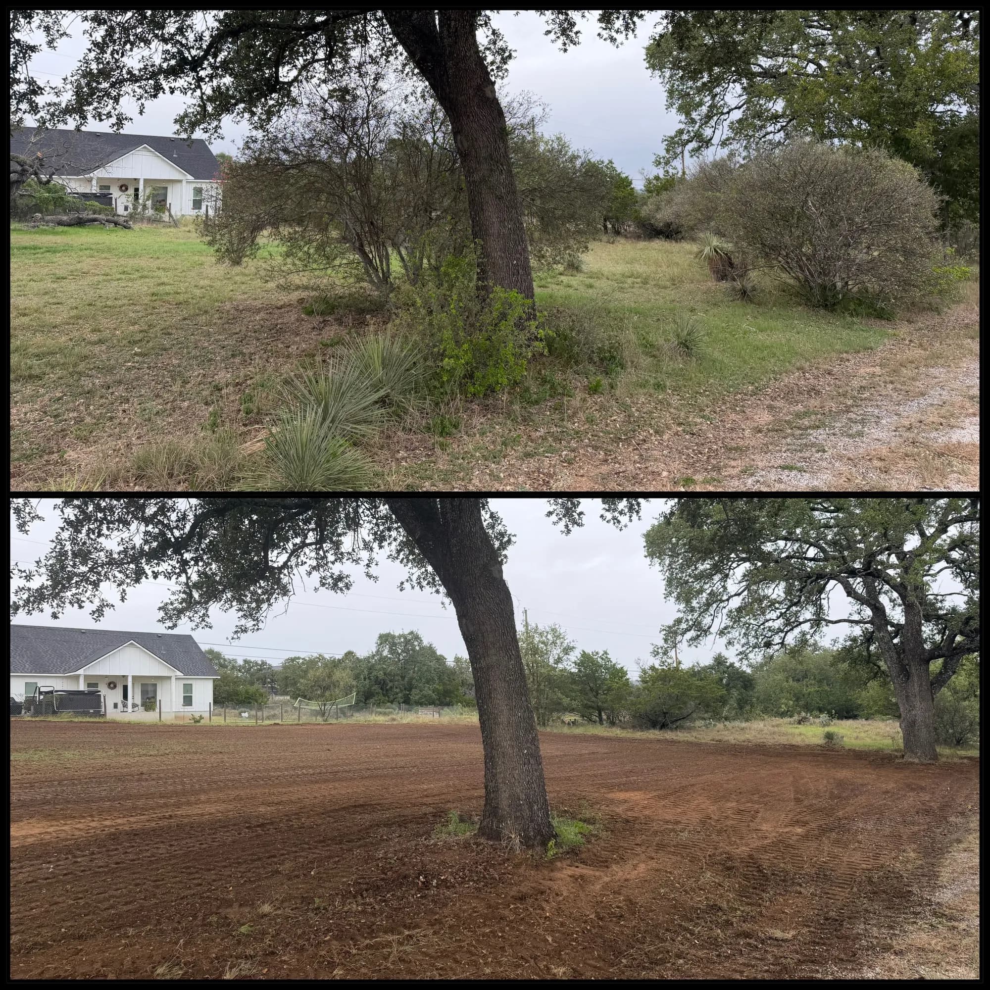 Land Clearing in Kingsland, Texas photo 2
