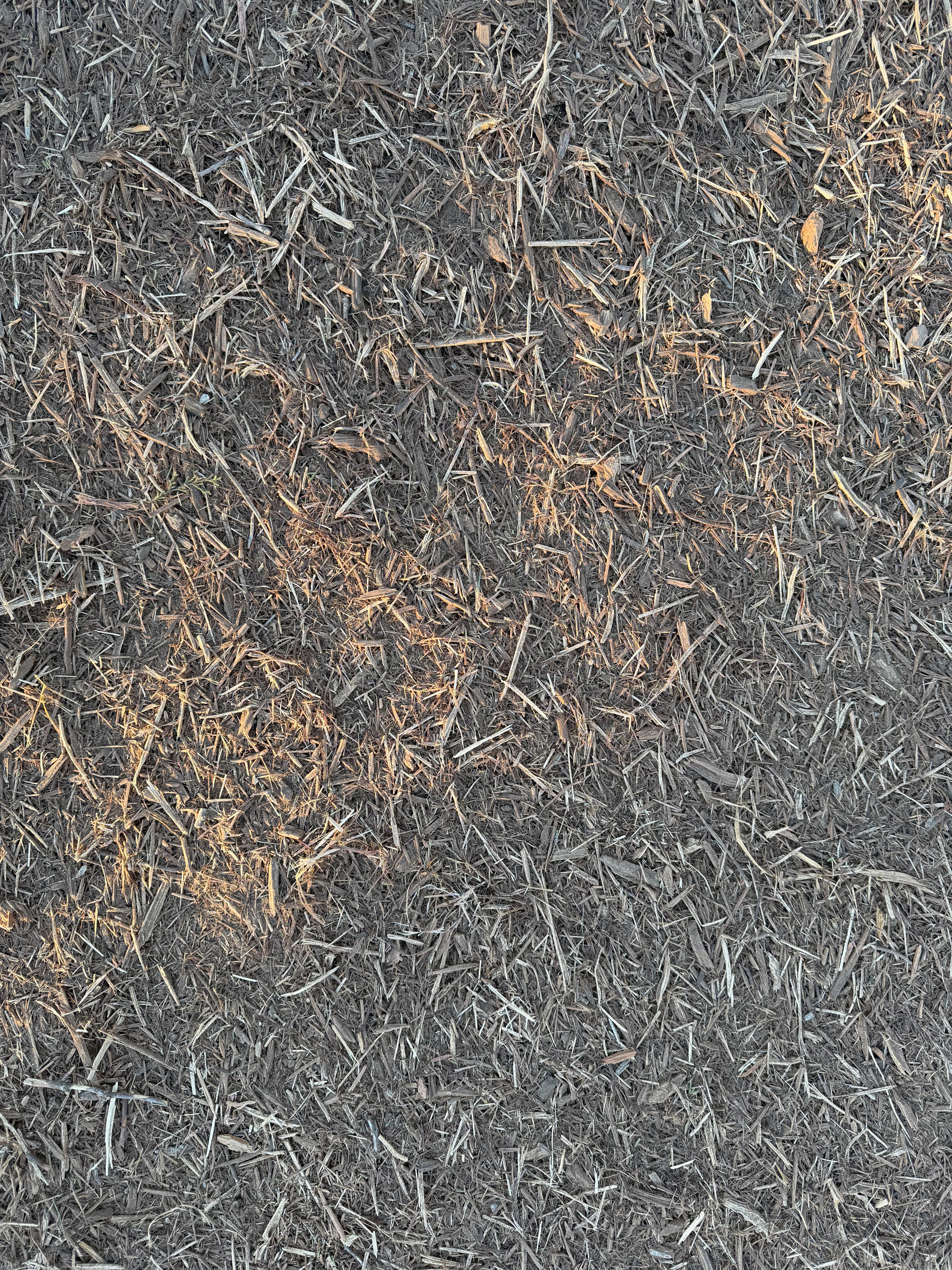 Forestry Mulching