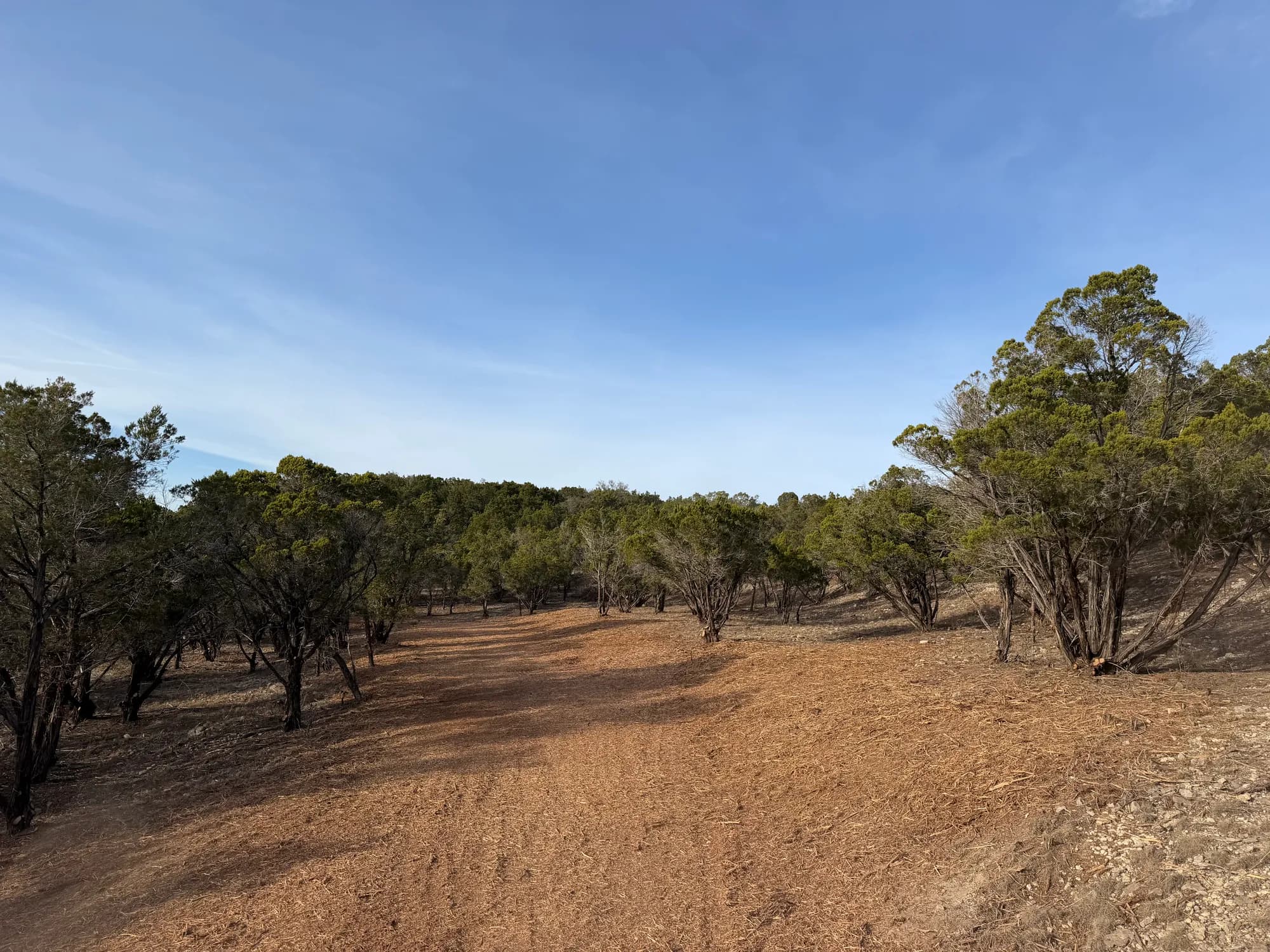 5-Mile Fire Break at Balcones Canyonlands National Wildlife Refuge